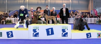 Gueville - CGA  Salon de l Agriculture : Croquette sur le podium !